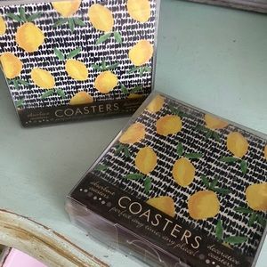 Stone Coasters Absorbent Thirsty Stone Lemon Design